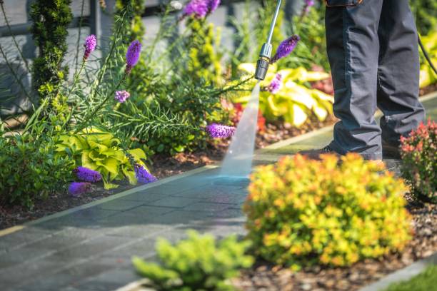 Best Spring Cleaning  in Morada, CA